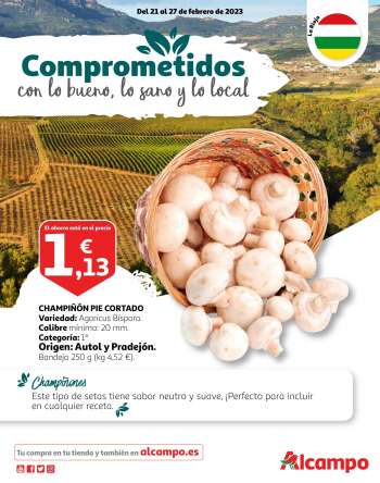 Folleto actual Alcampo - 21/02/23 - 27/02/23.