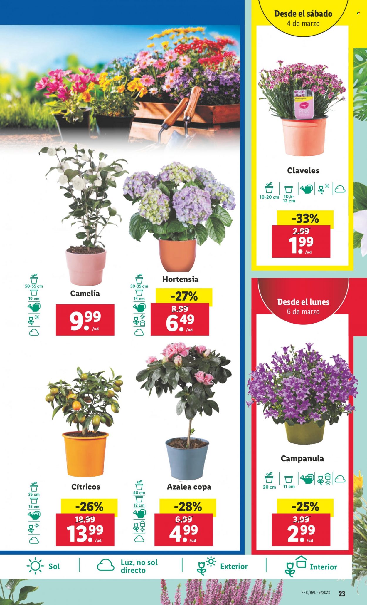 Folleto Lidl - 02/03/23 - 08/03/23. Página 23
