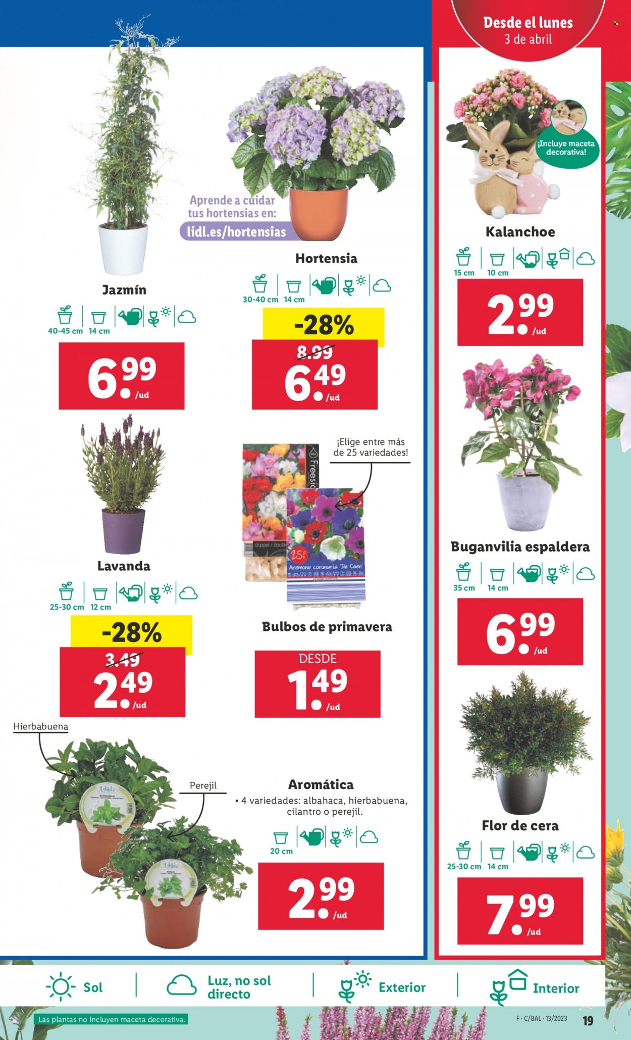 Folleto Lidl - 30/03/23 - 04/04/23. Página 19