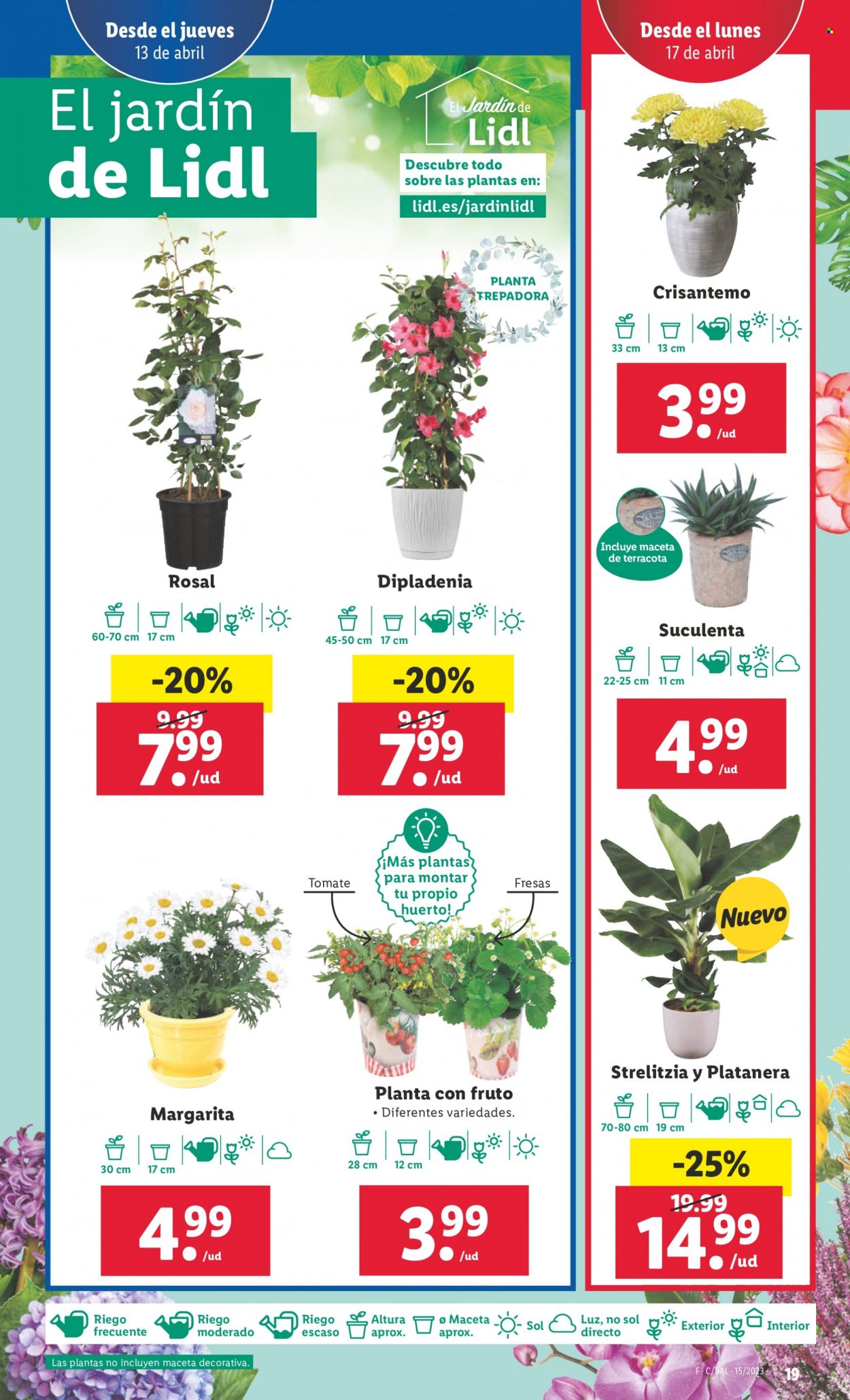 Folleto Lidl - 13/04/23 - 19/04/23. Página 19