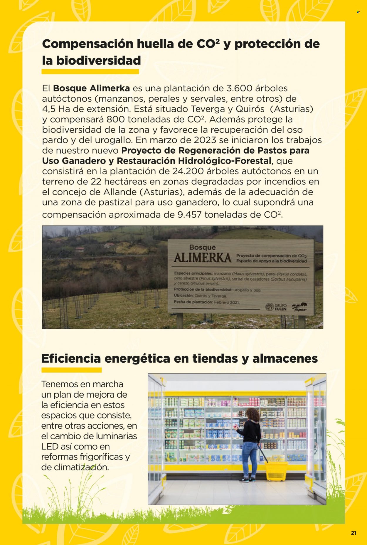 Folleto Alimerka - 13/04/23 - 26/04/23. Página 21