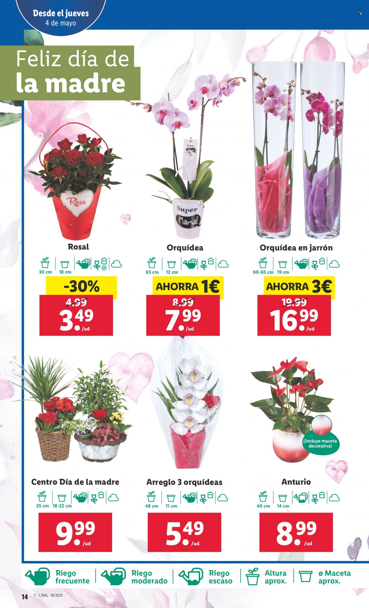 Folleto Lidl - 04/05/23 - 10/05/23. Página 33
