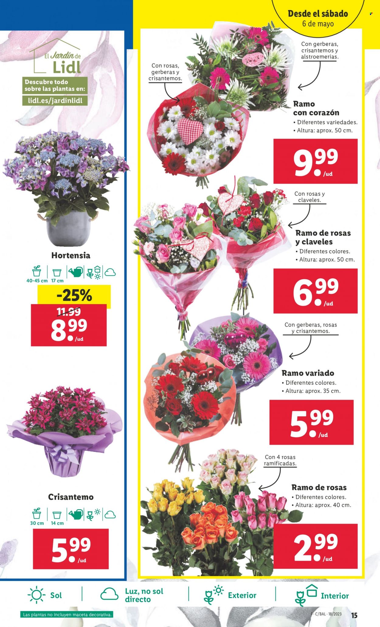 Folleto Lidl - 04/05/23 - 10/05/23. Página 34