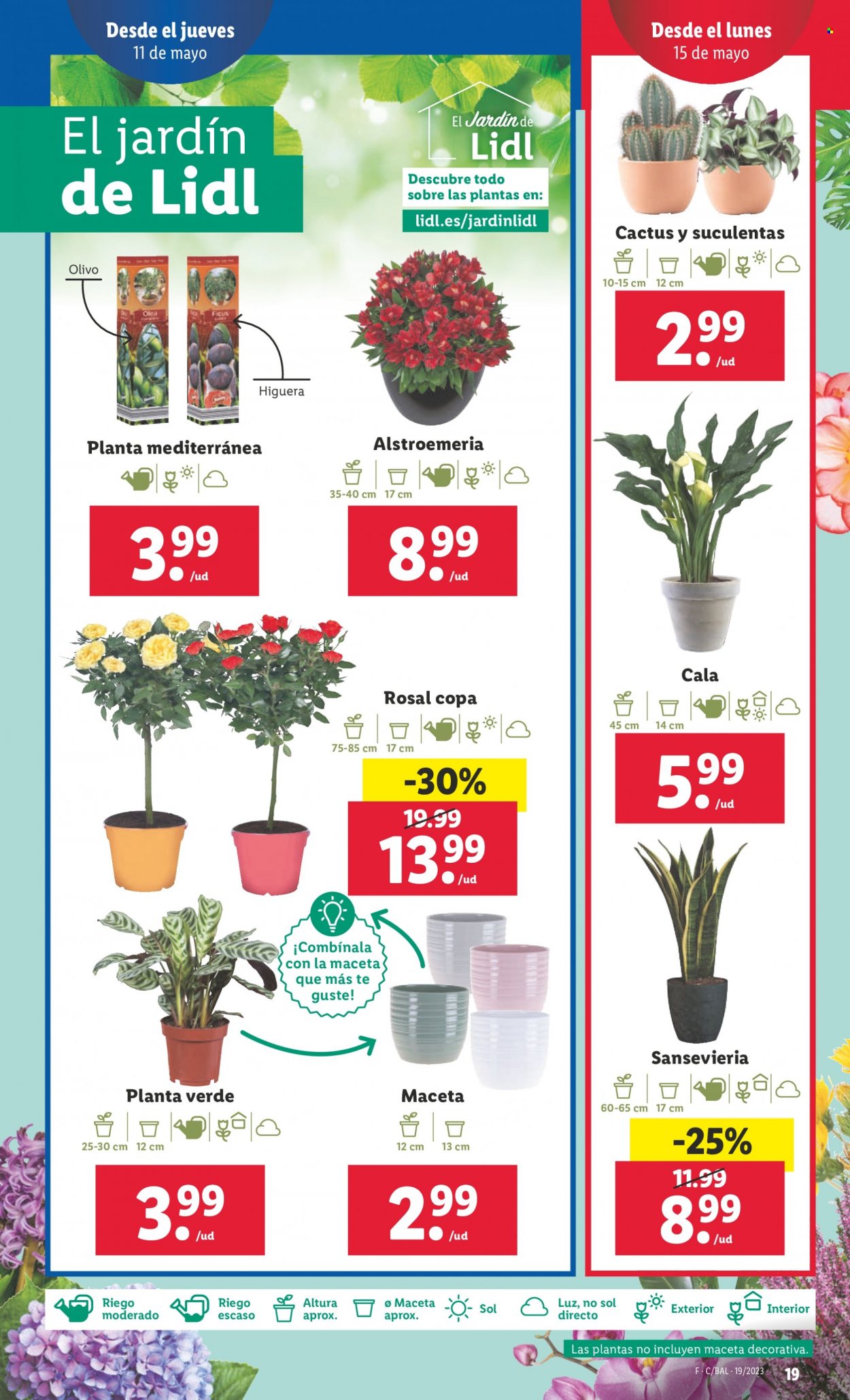 Folleto Lidl - 11/05/23 - 17/05/23. Página 19