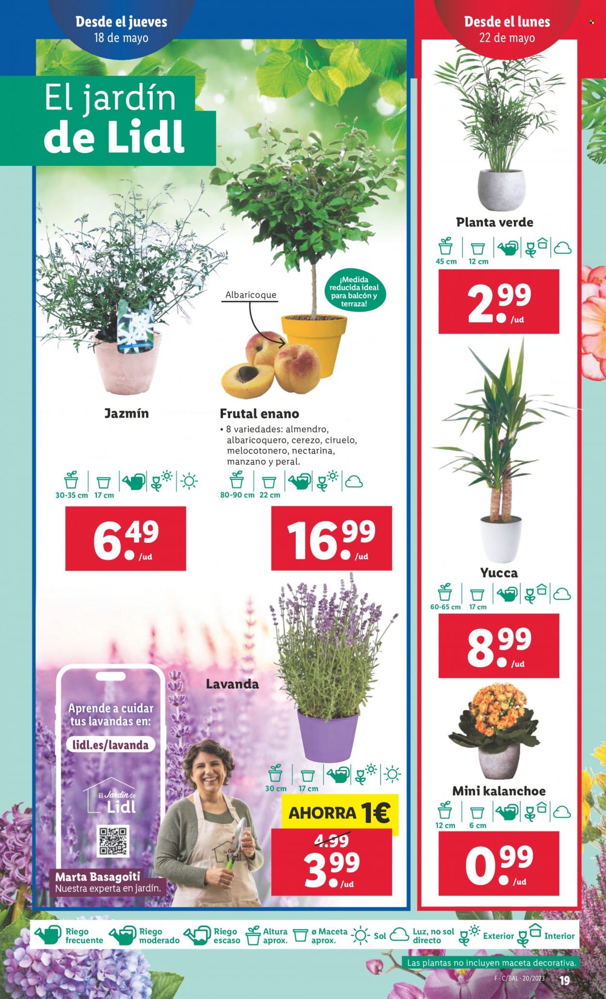 Folleto Lidl - 18/05/23 - 24/05/23. Página 19