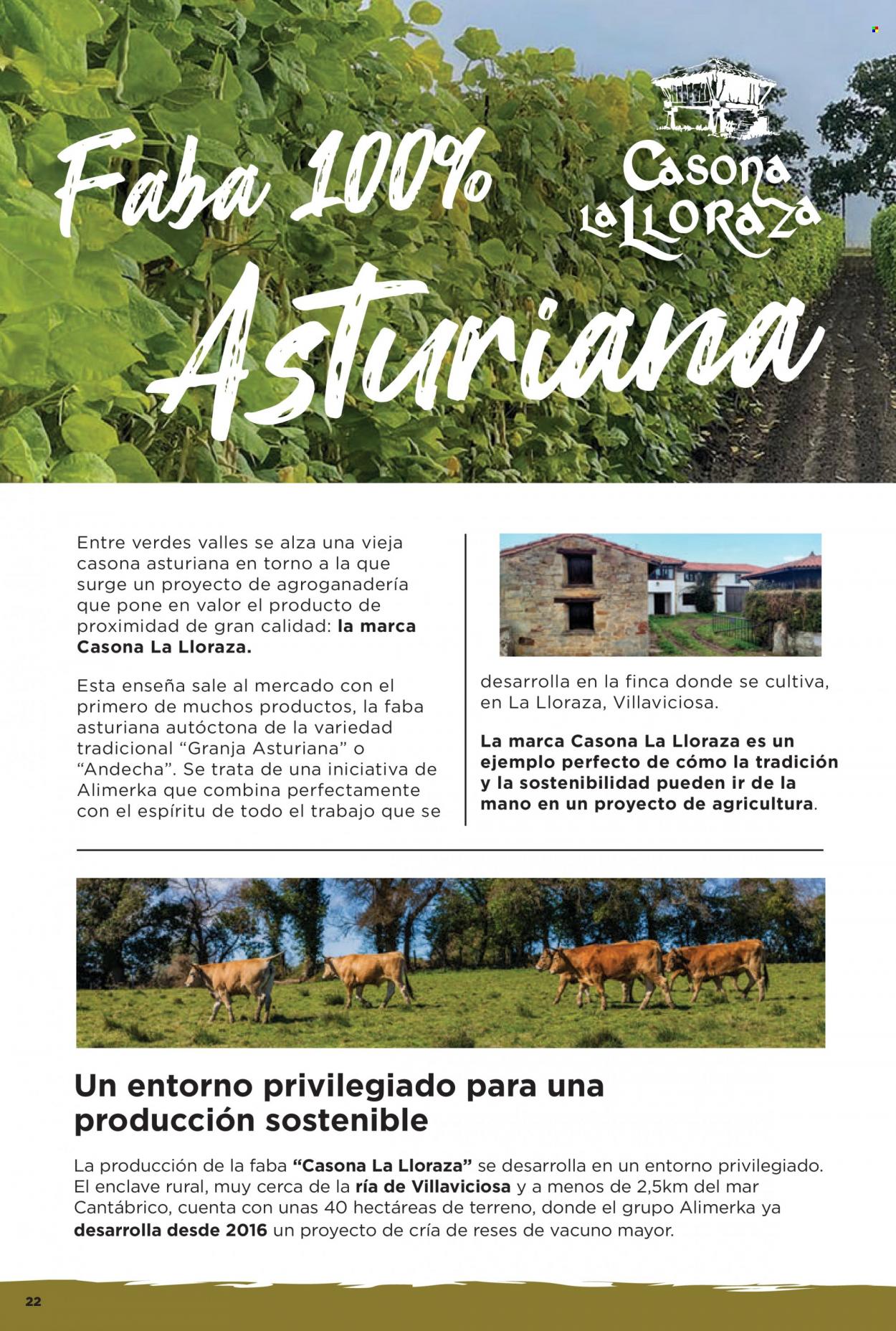 Folleto Alimerka - 25/05/23 - 31/05/23. Página 22