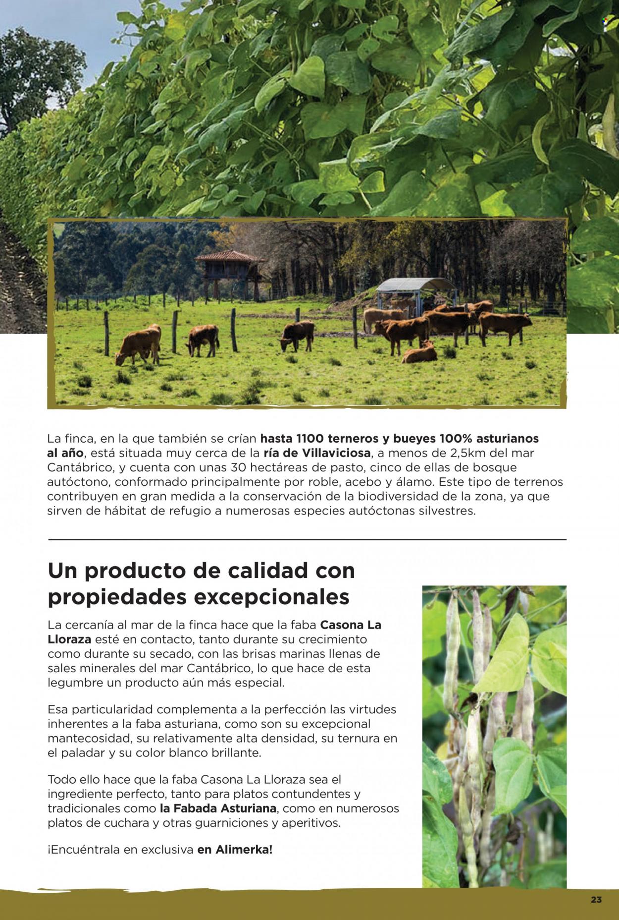 Folleto Alimerka - 25/05/23 - 31/05/23. Página 23