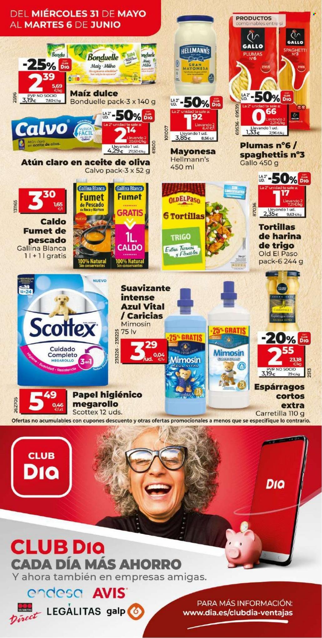 Folleto Dia - 31/05/23 - 06/06/23. Página 10