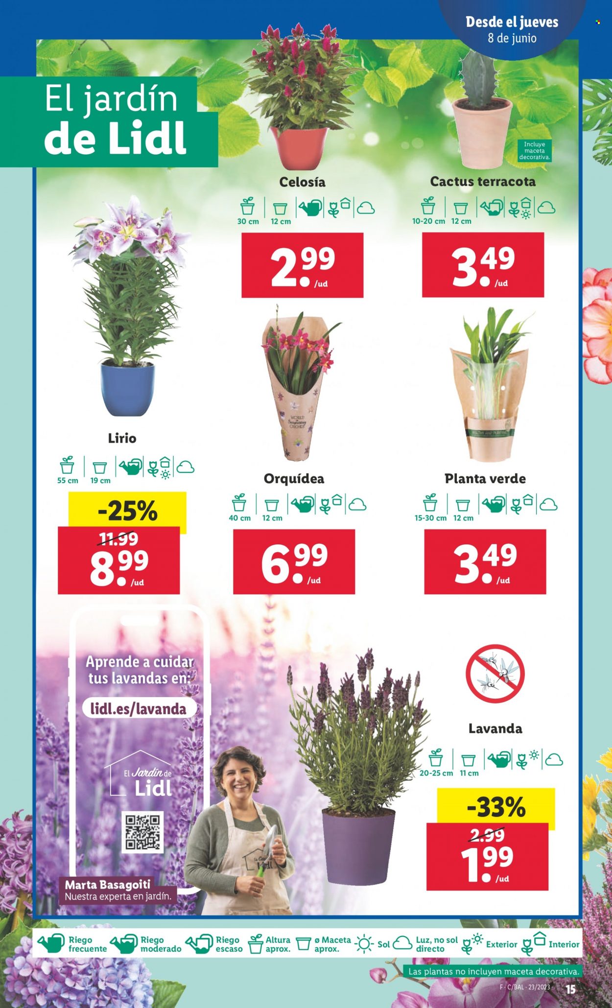 Folleto Lidl - 08/06/23 - 14/06/23. Página 15