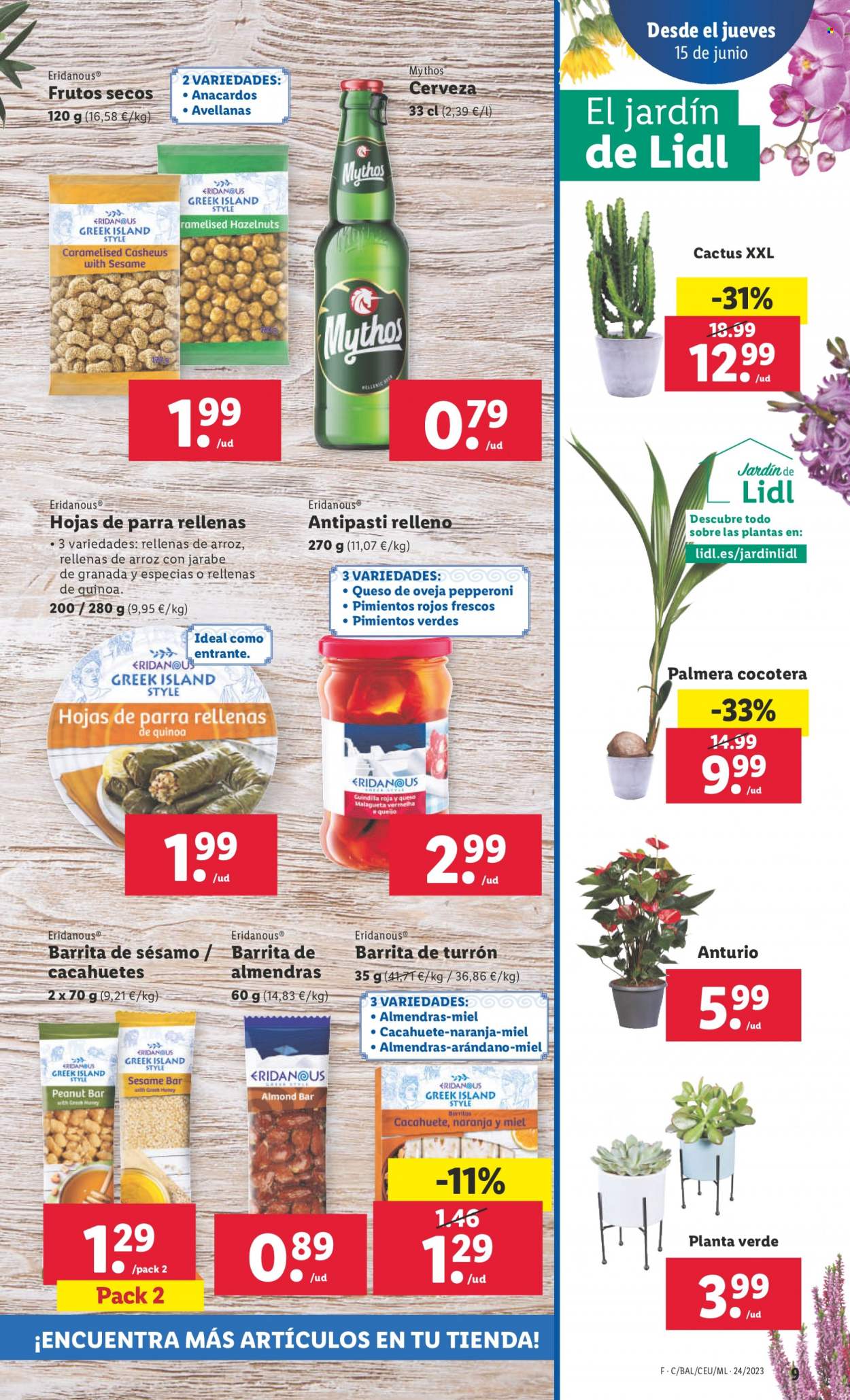 Folleto Lidl - 15/06/23 - 21/06/23. Página 9