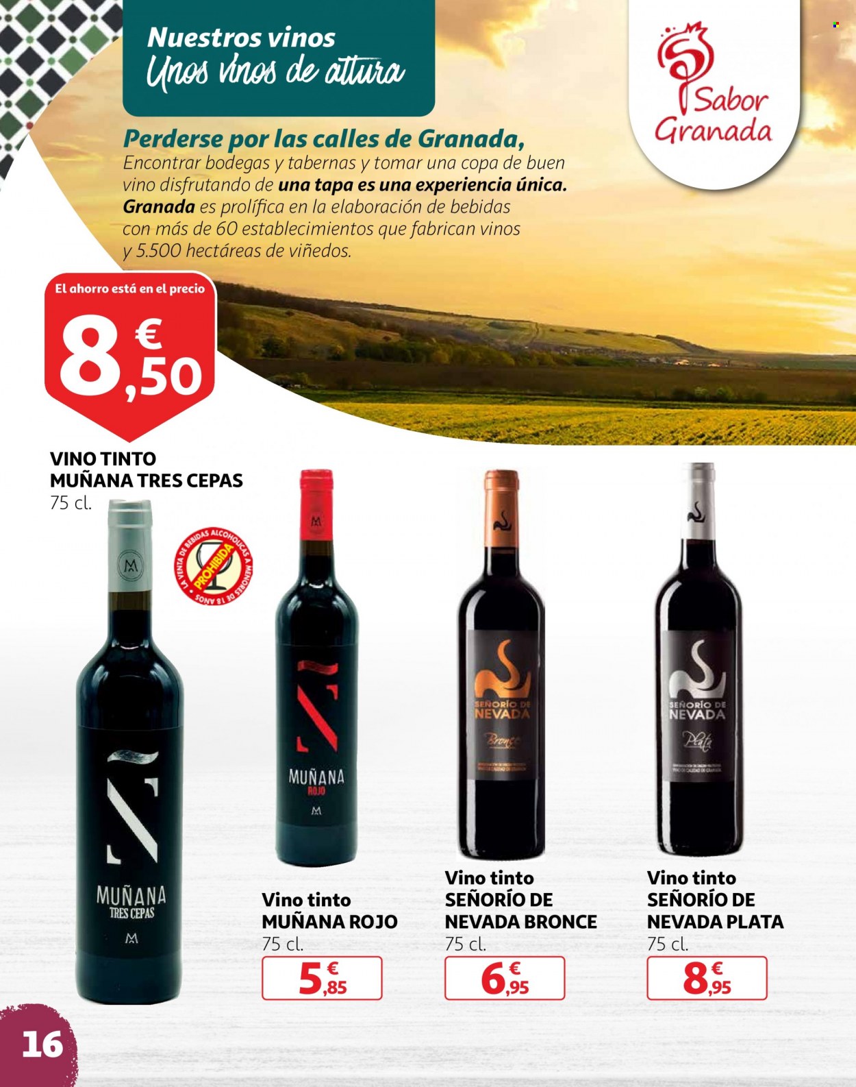 Folleto Alcampo - 16/06/23 - 31/07/23. Página 16