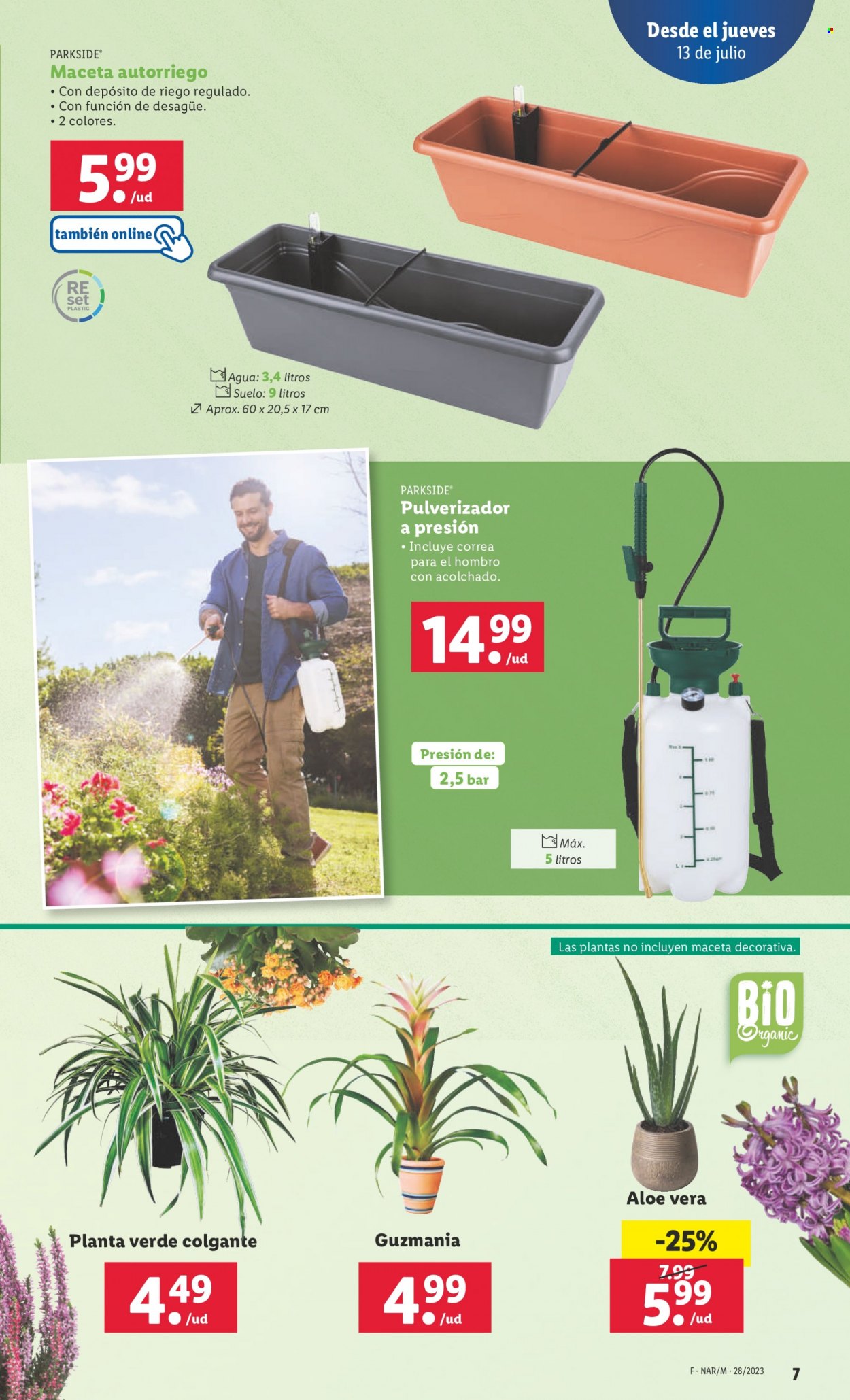 Folleto Lidl - 13/07/23 - 19/07/23. Página 31