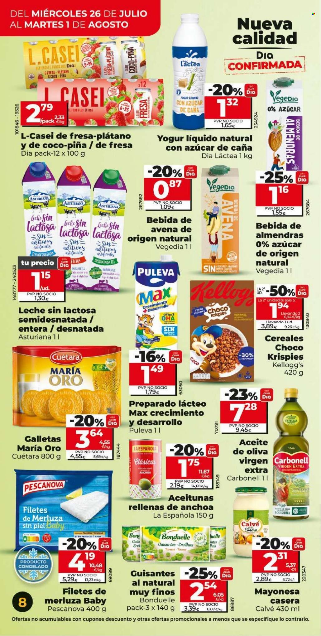 Folleto Dia. Página 8