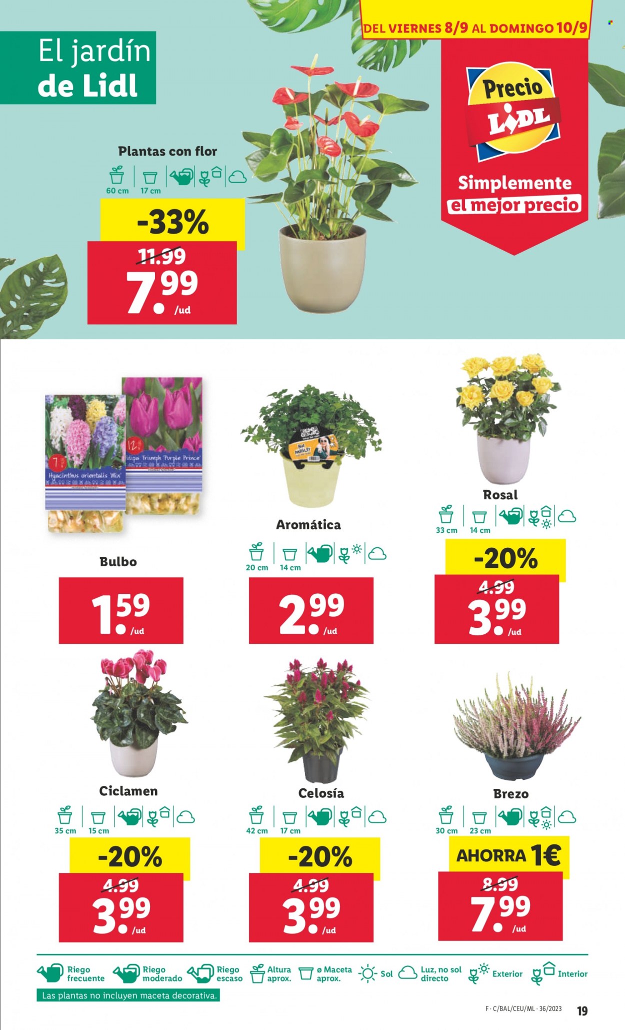 Folleto Lidl - 04/09/23 - 10/09/23. Página 19