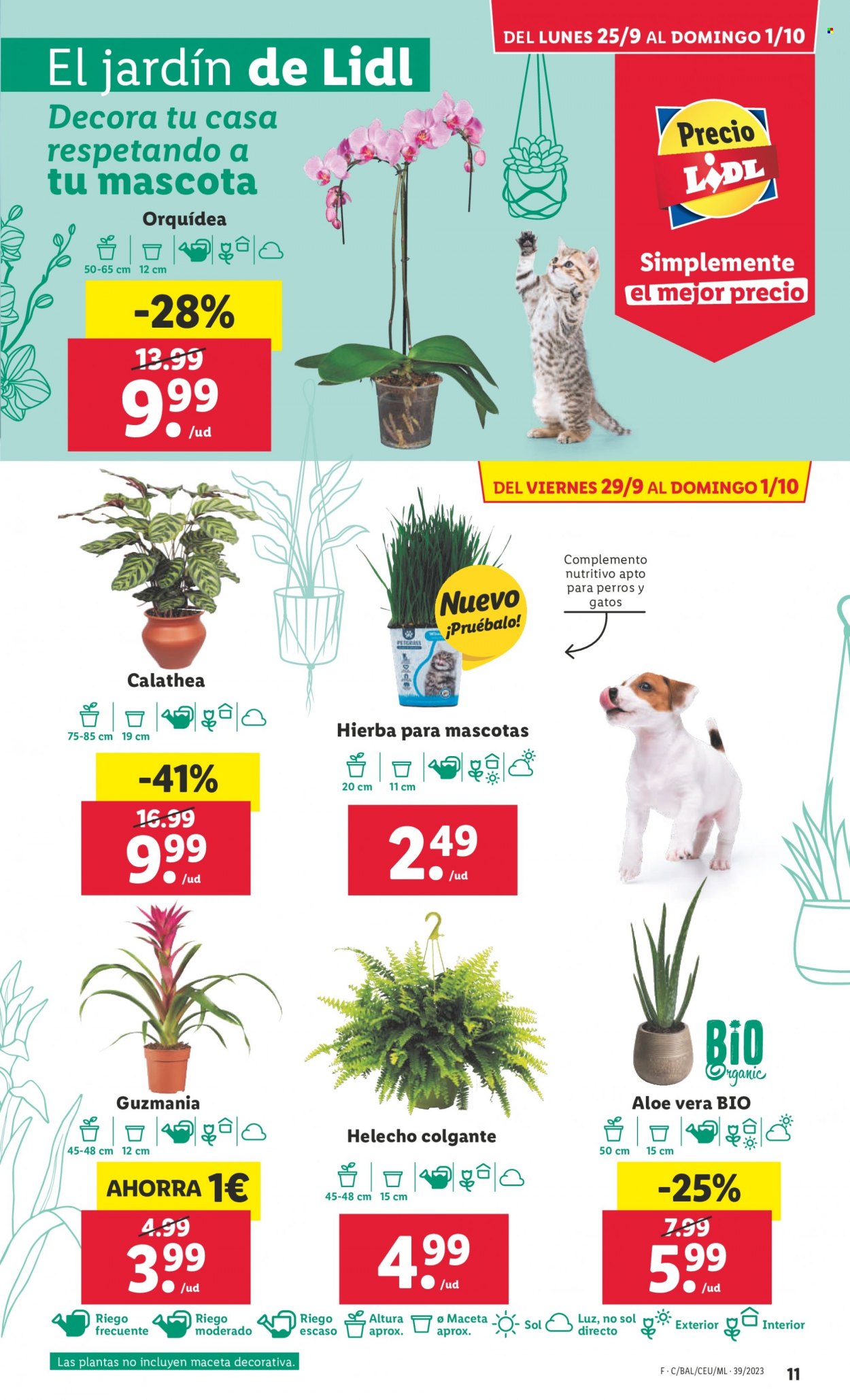 Folleto Lidl - 25/09/23 - 01/10/23. Página 11