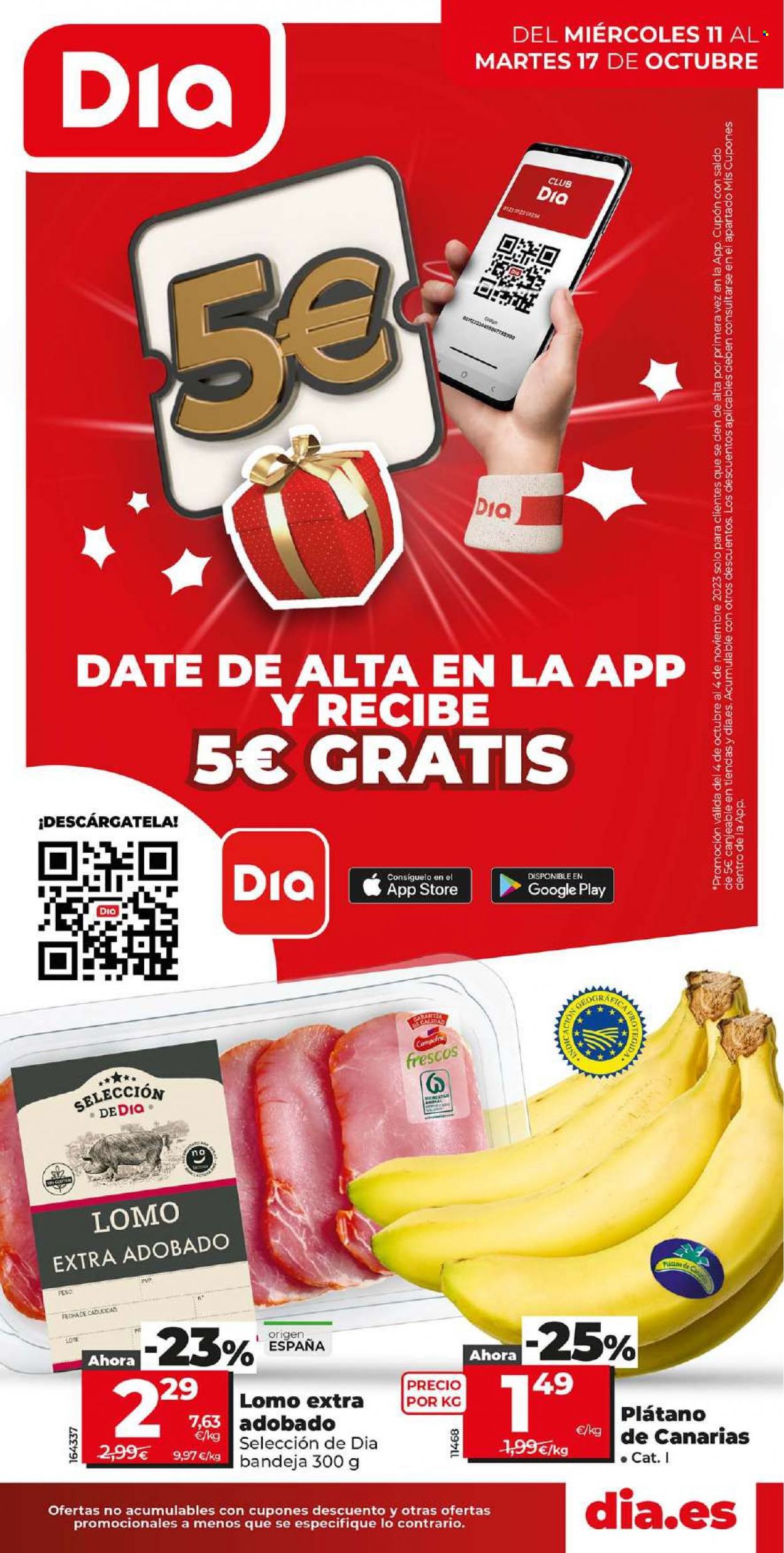 Folleto Dia - 11/10/23 - 17/10/23. Página 1