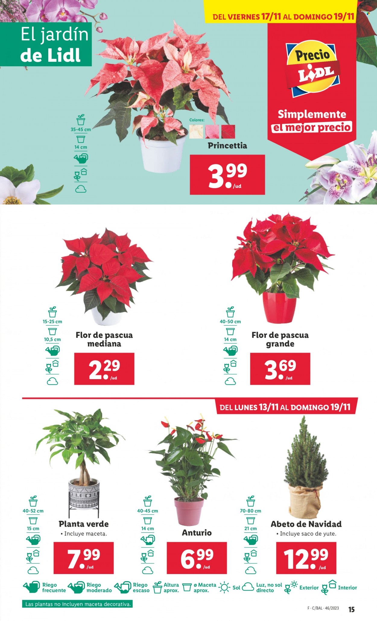 Folleto Lidl - 13/11/23 - 19/11/23. Página 15