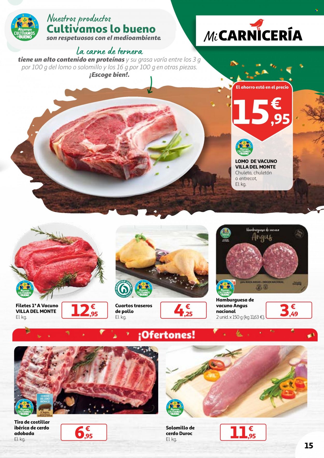 Folleto Alcampo - 23/11/23 - 11/12/23. Página 15