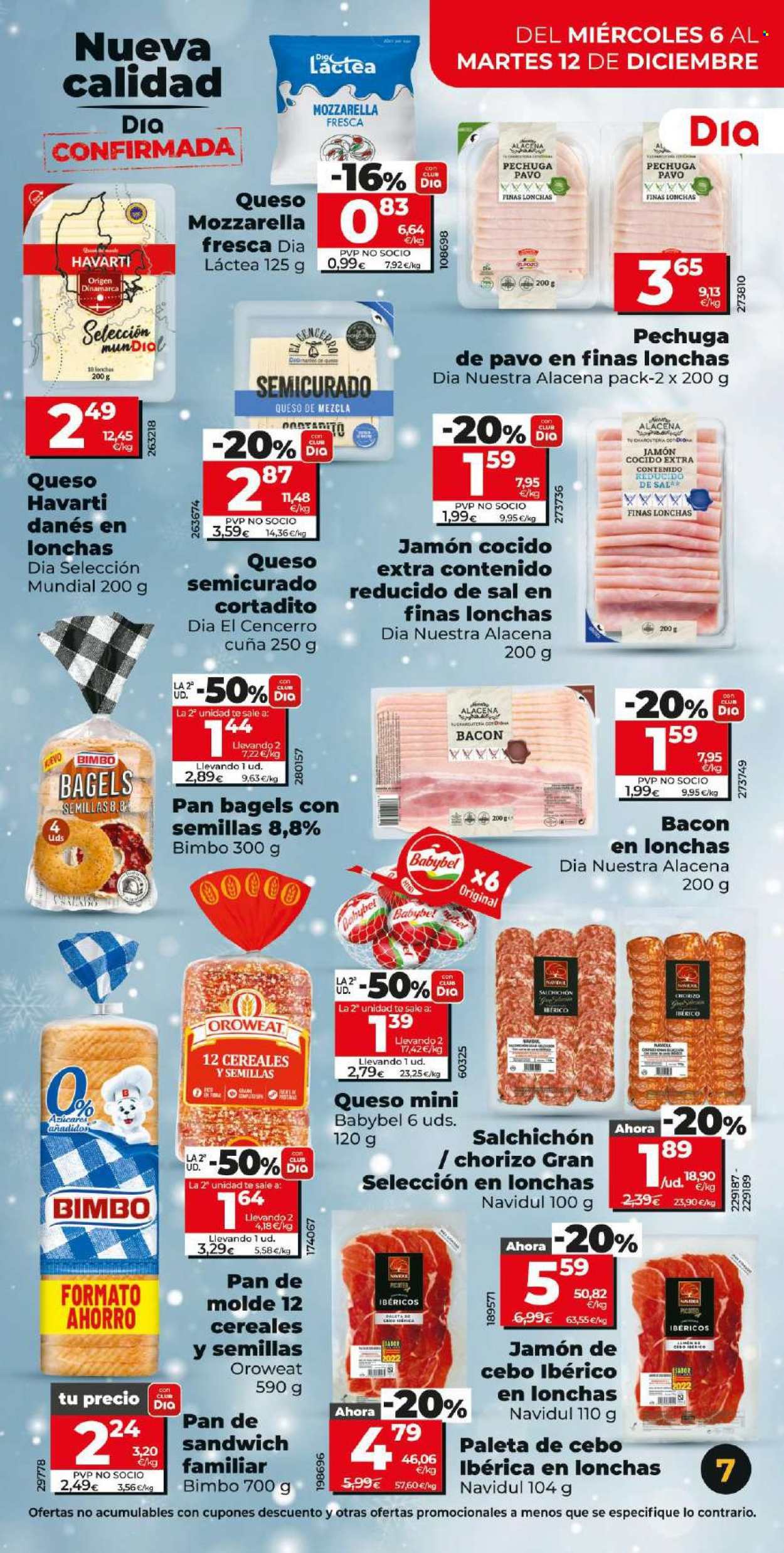 Folleto Dia - 06/12/23 - 12/12/23. Página 7