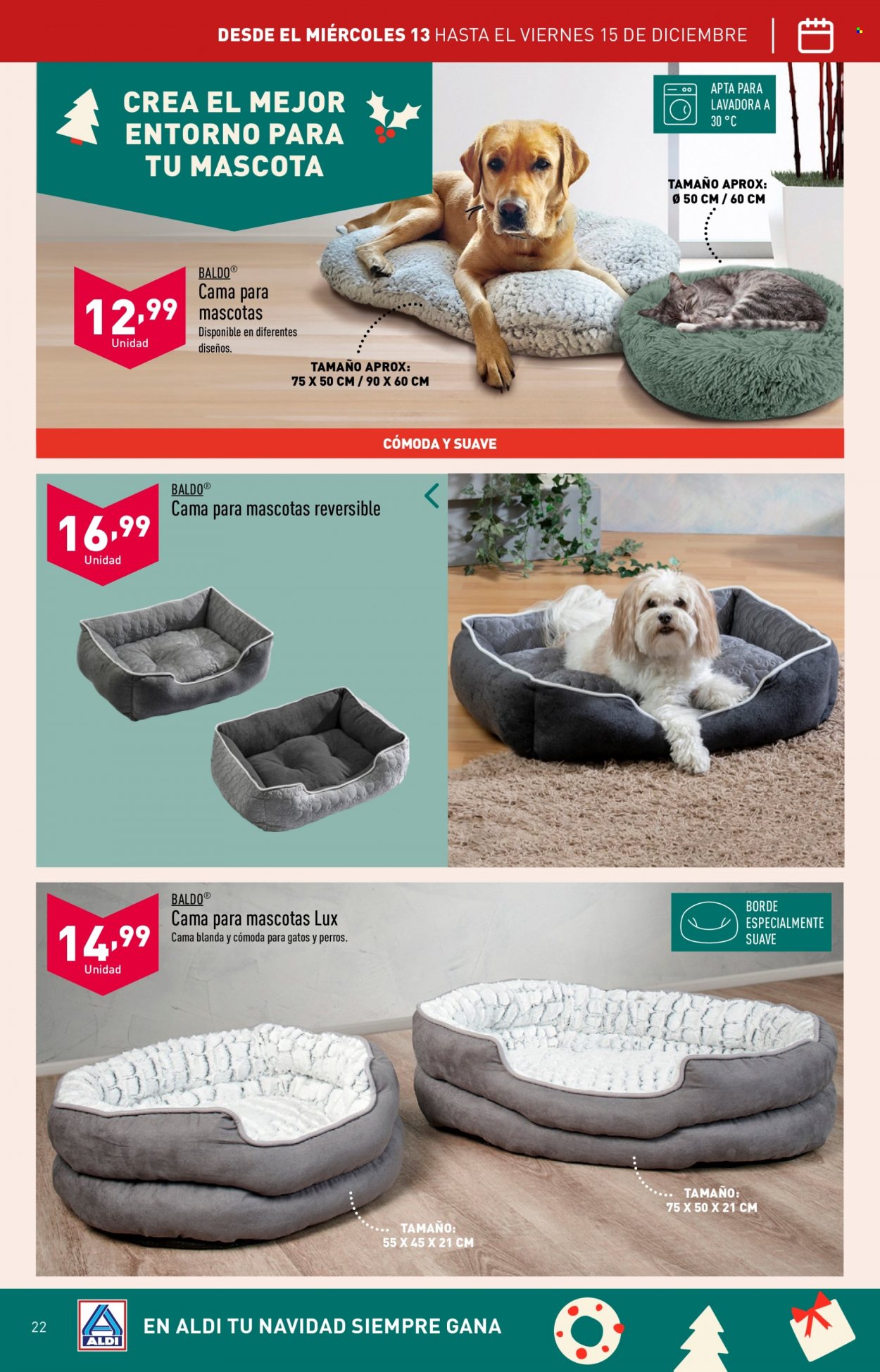 Folleto Aldi - 13/12/23 - 19/12/23. Página 22