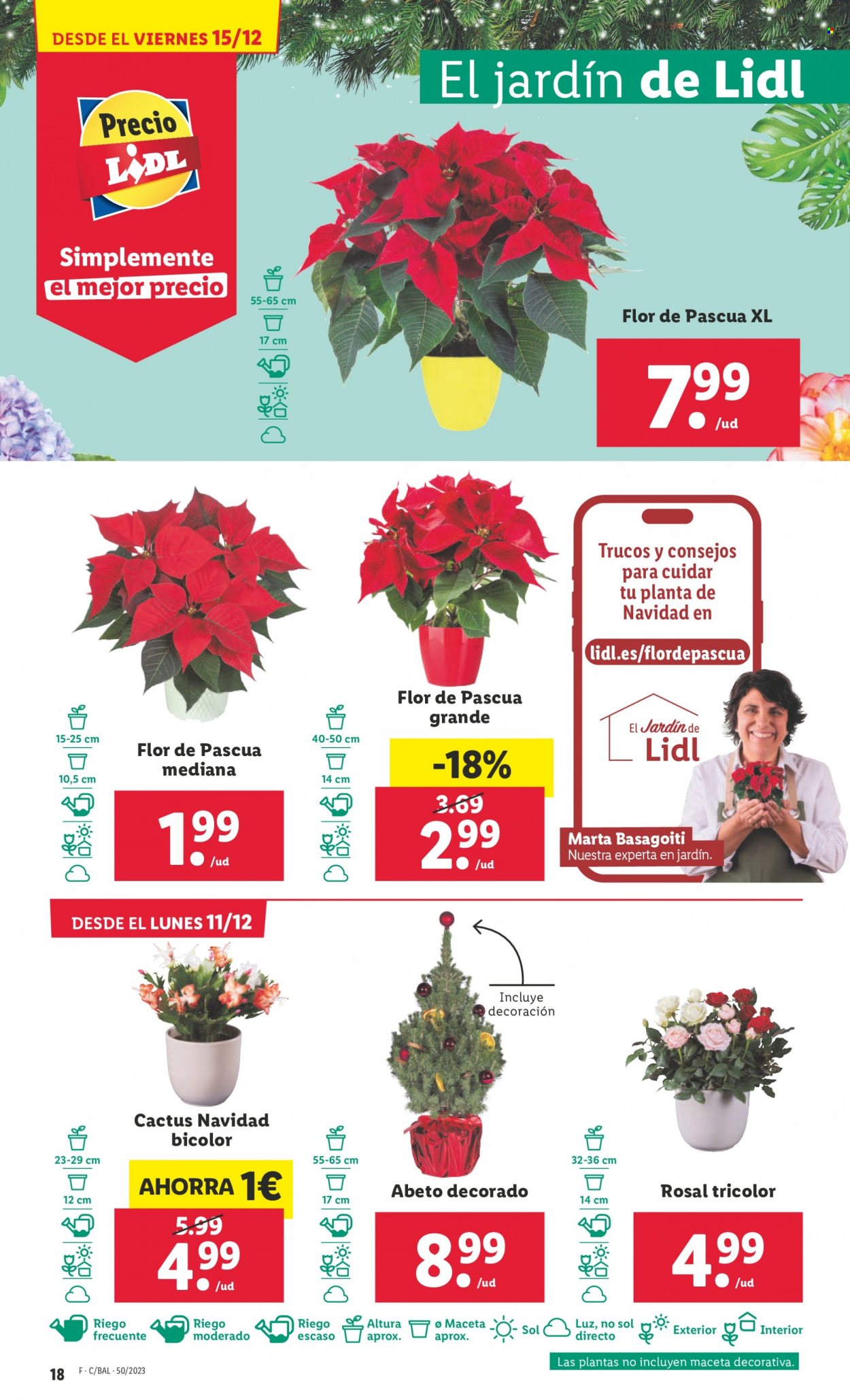 Folleto Lidl - 11/12/23 - 17/12/23. Página 42