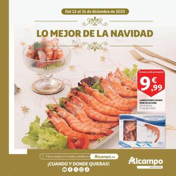 Folleto actual Alcampo - 12/12/23 - 31/12/23.