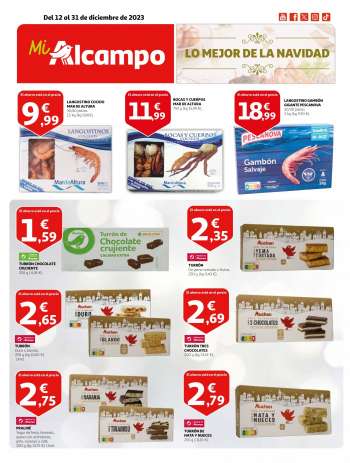 Folleto actual Alcampo - 12/12/23 - 31/12/23.