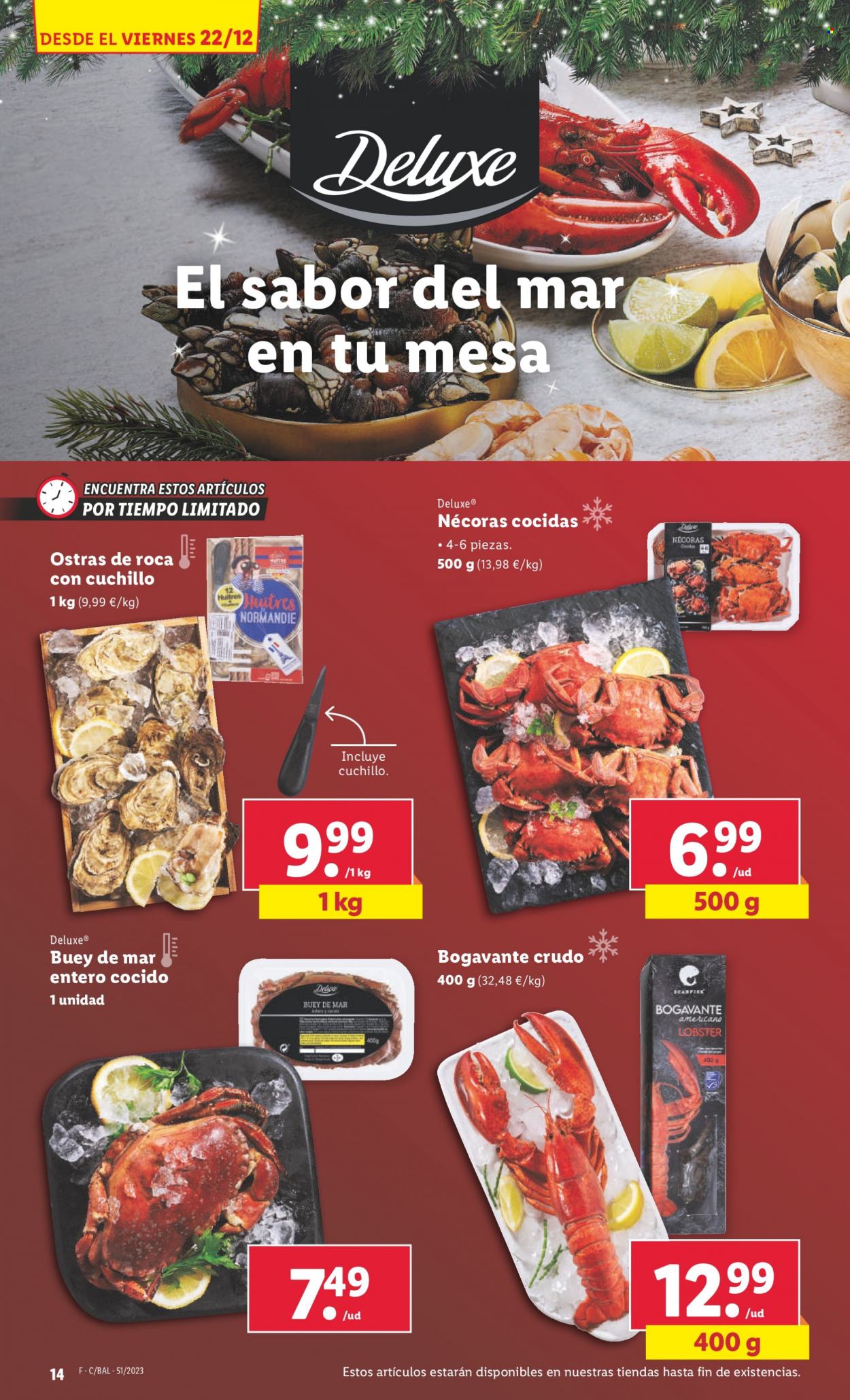 Folleto Lidl - 18/12/23 - 24/12/23. Página 14