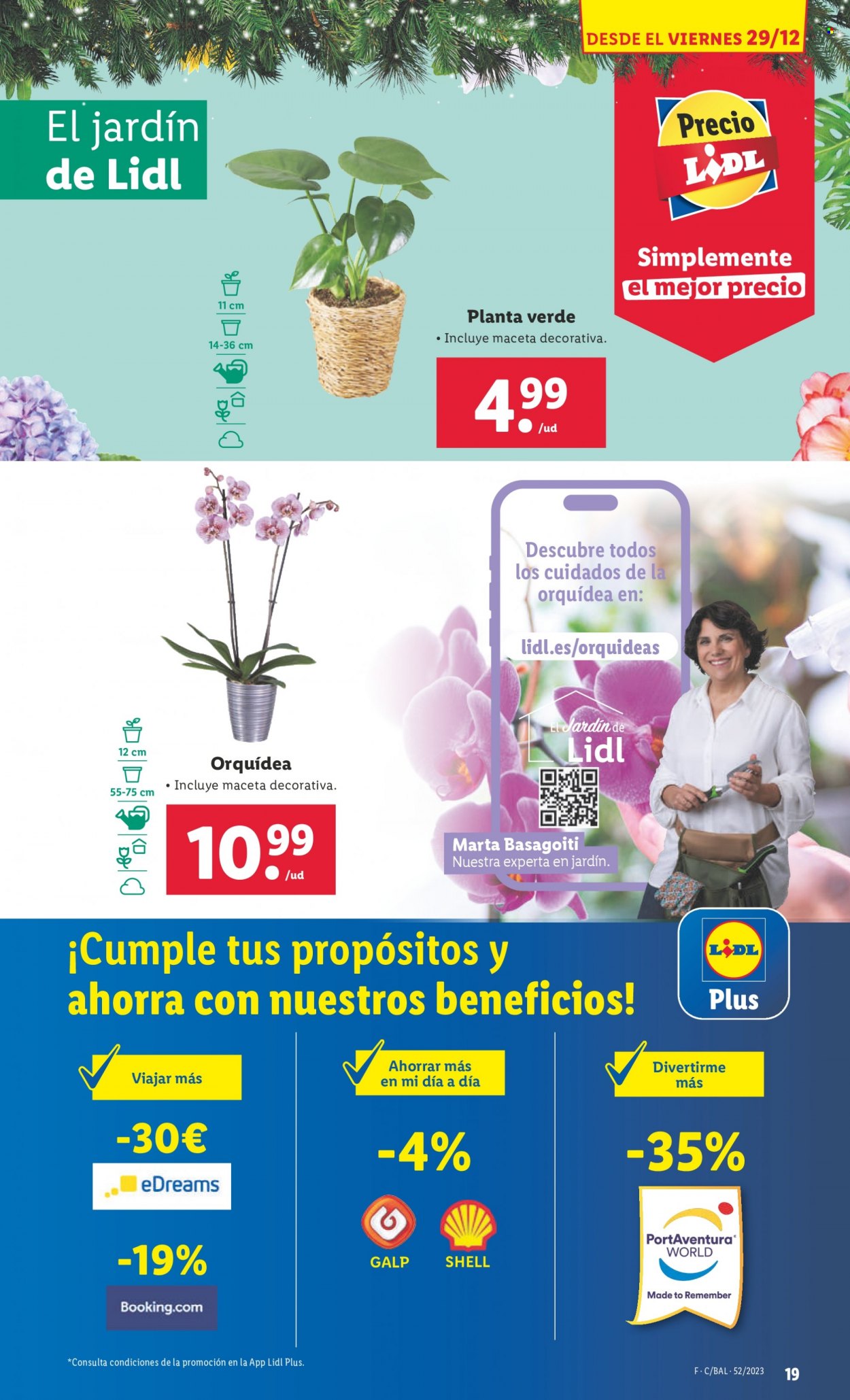 Folleto Lidl - 26/12/23 - 31/12/23. Página 19