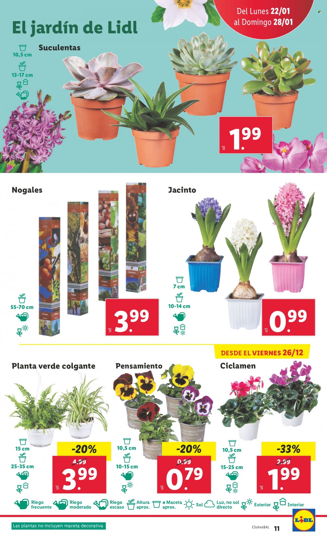 Folleto Lidl - 22/01/24 - 28/01/24. Página 11