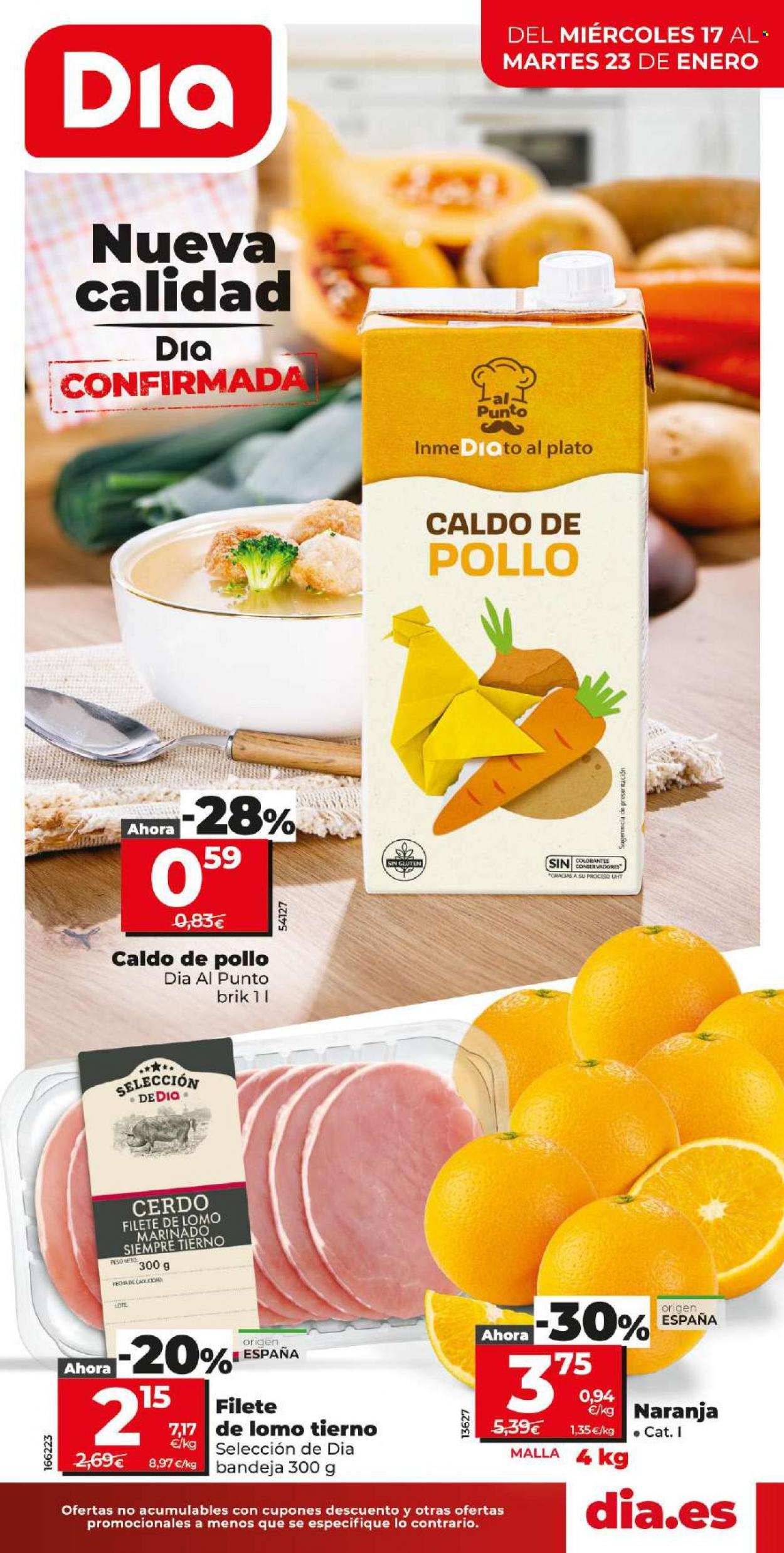 Folleto Dia - 17/01/24 - 23/01/24. Página 1