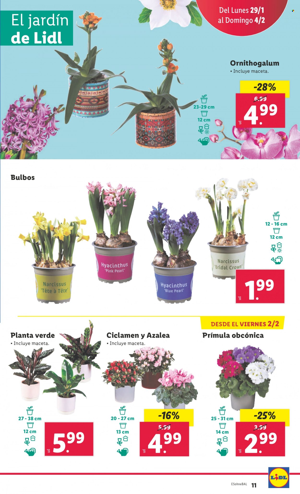 Folleto Lidl - 29/01/24 - 04/02/24. Página 11