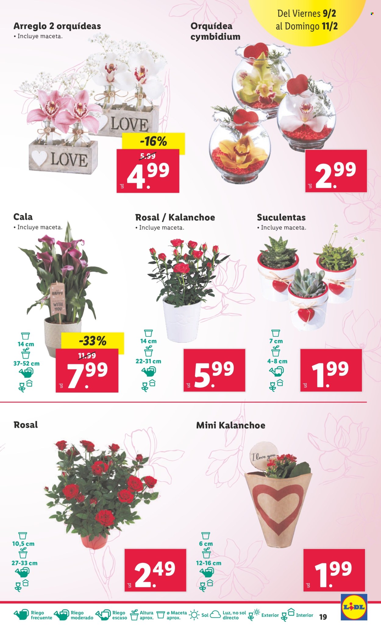 Folleto Lidl - 05/02/24 - 11/02/24. Página 19