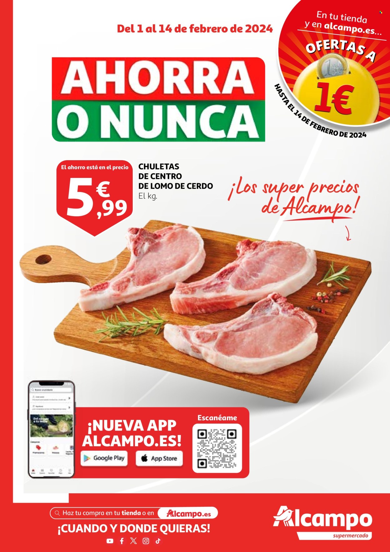 Folleto Alcampo - 01/02/24 - 14/02/24. Página 1