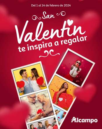 Folleto actual Alcampo - 01/02/24 - 14/02/24.