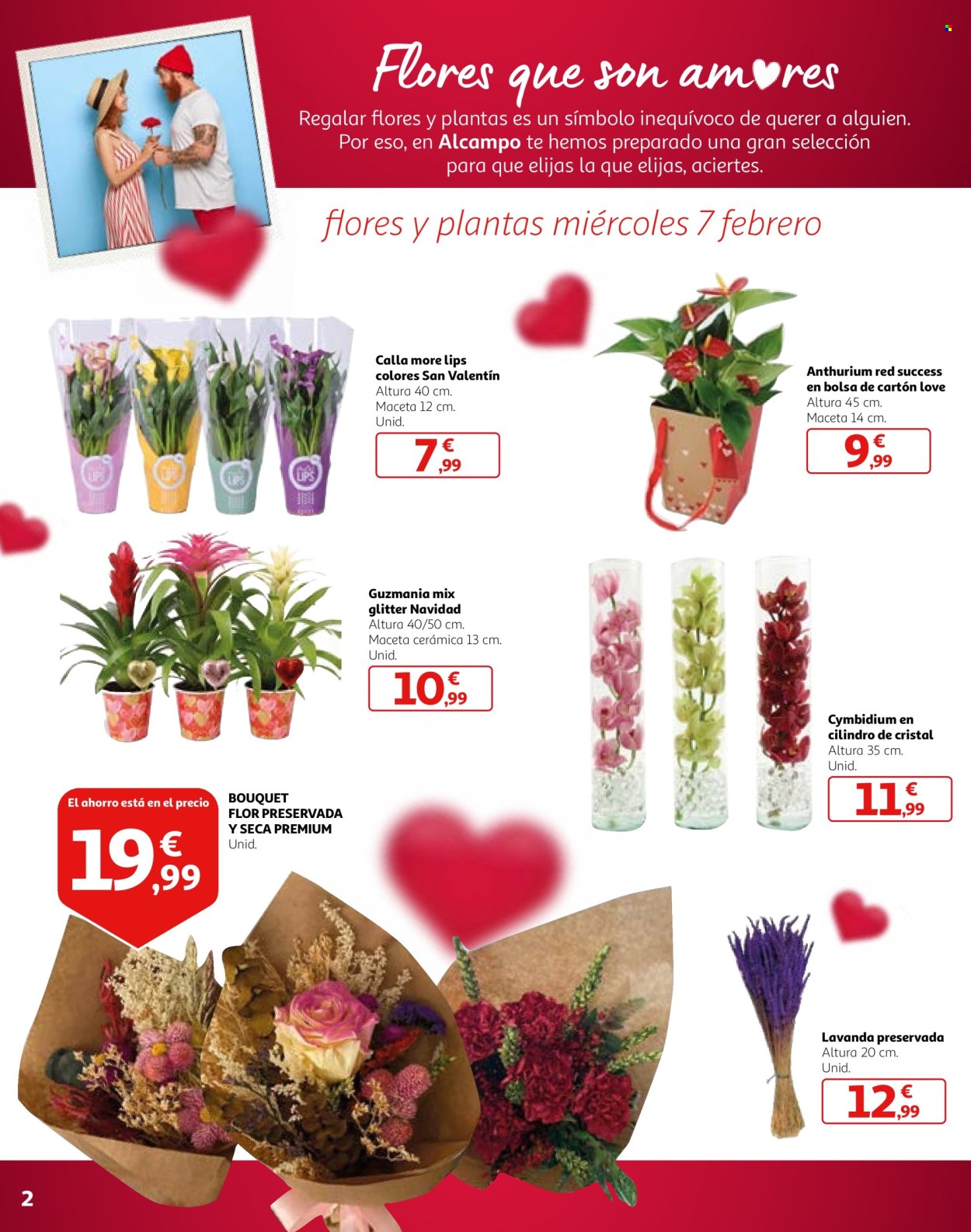 Folleto Alcampo - 01/02/24 - 14/02/24. Página 2