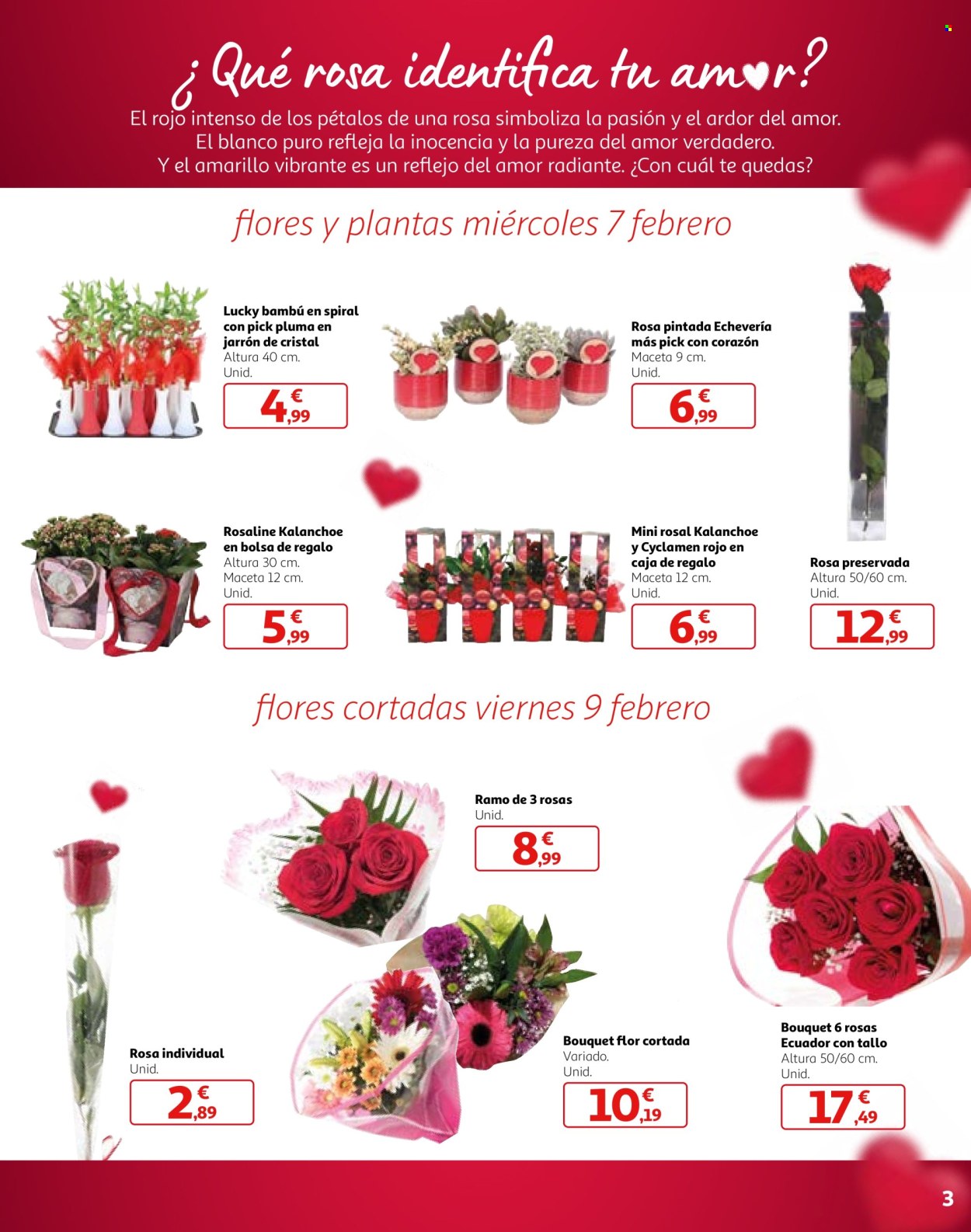 Folleto Alcampo - 01/02/24 - 14/02/24. Página 3