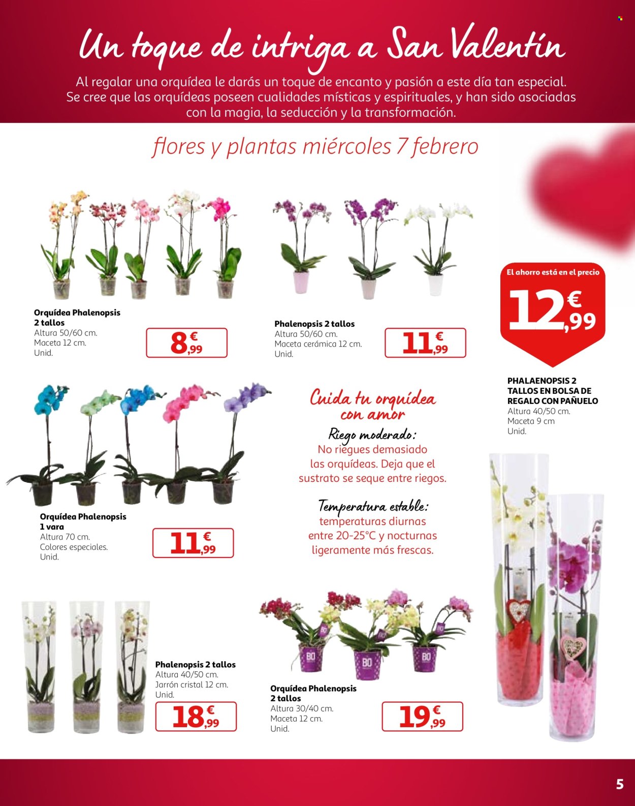 Folleto Alcampo - 01/02/24 - 14/02/24. Página 5