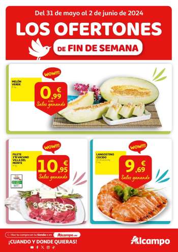 Folleto actual Alcampo - 31/05/24 - 02/06/24.