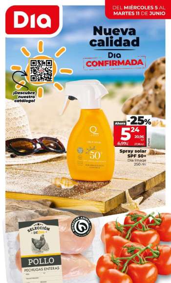 Folleto actual Dia - 05/06/24 - 11/06/24.