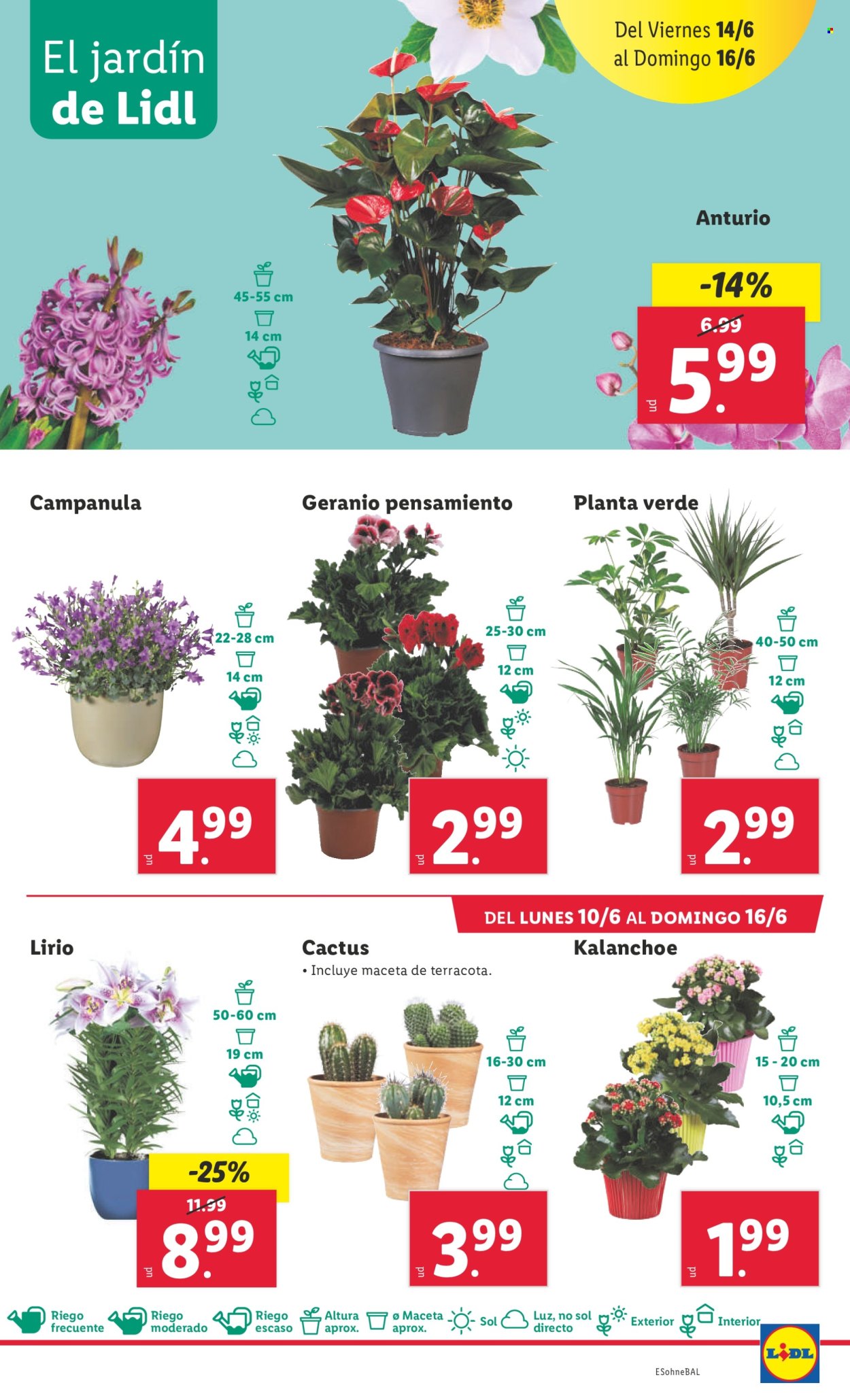 Folleto Lidl - 10/06/24 - 16/06/24. Página 21