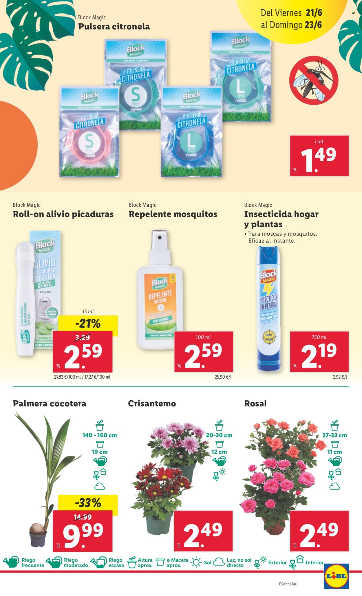 Folleto Lidl - 17/06/24 - 23/06/24. Página 19