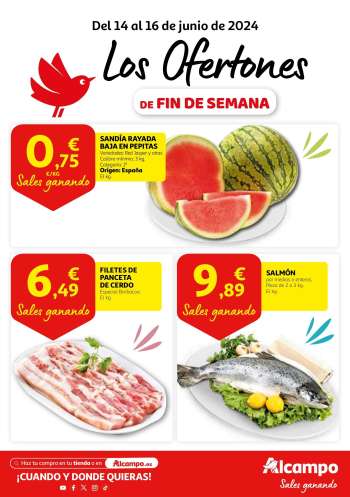 Folleto actual Alcampo - 14/06/24 - 16/06/24.