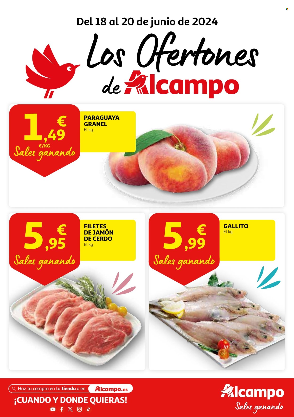 Folleto Alcampo - 18/06/24 - 20/06/24. Página 1