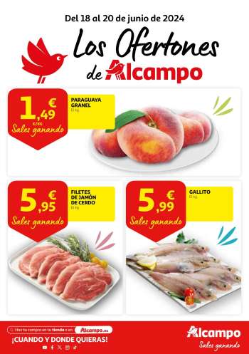 Folleto actual Alcampo - 18/06/24 - 20/06/24.