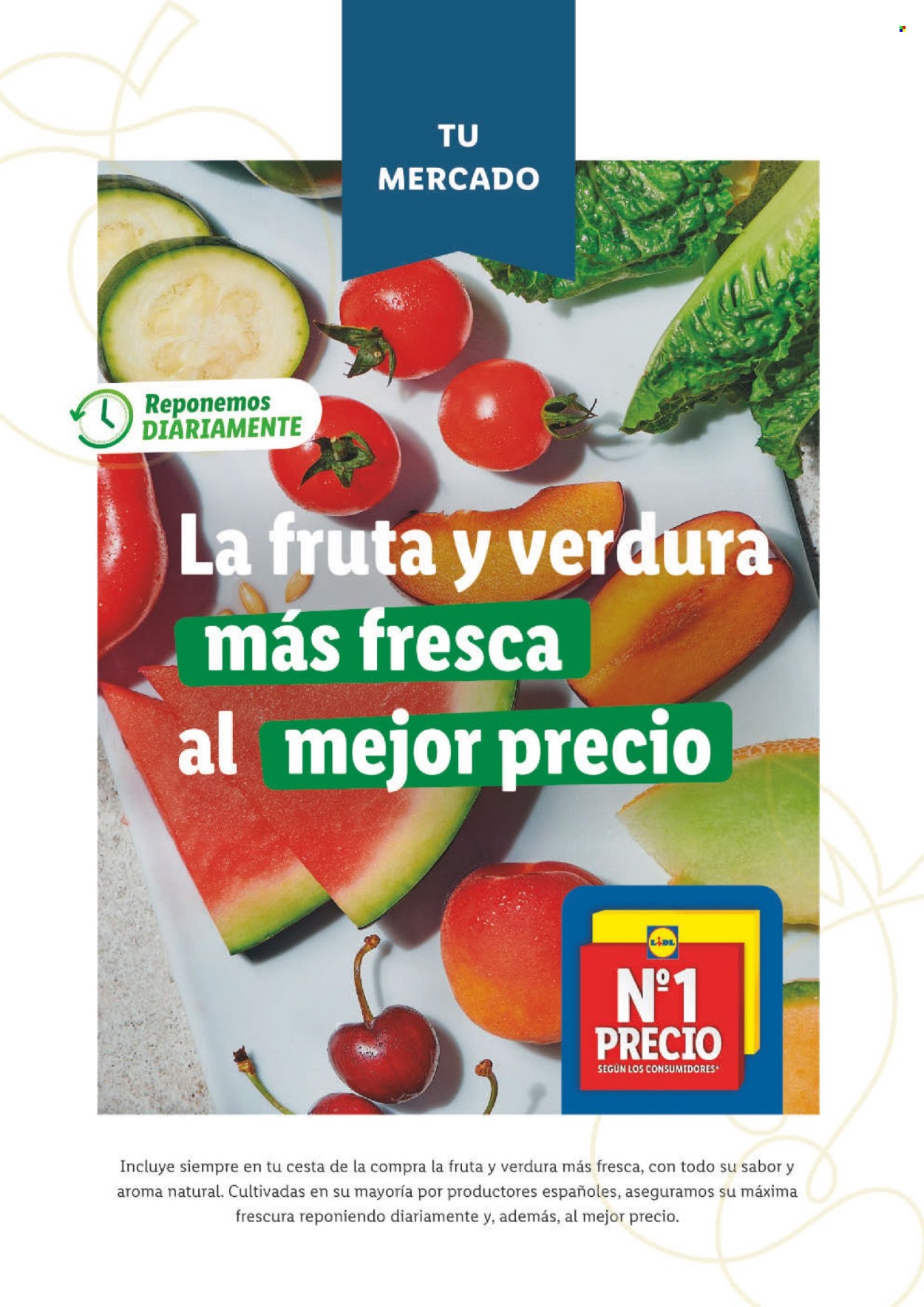 Folleto Lidl - 27/06/24 - 31/08/24. Página 14