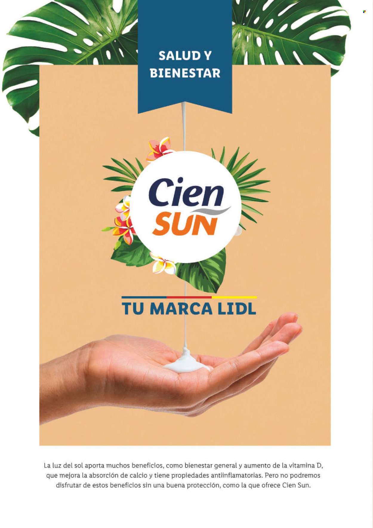 Folleto Lidl - 27/06/24 - 31/08/24. Página 32