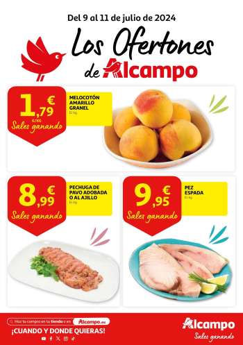 Folleto actual Alcampo - 09/07/24 - 11/07/24.