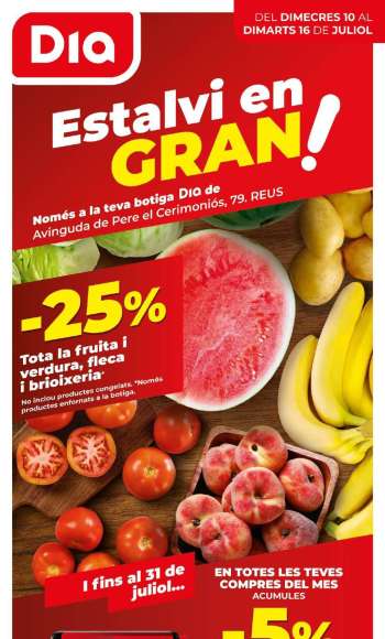 Folleto actual Dia - 10/07/24 - 16/07/24.