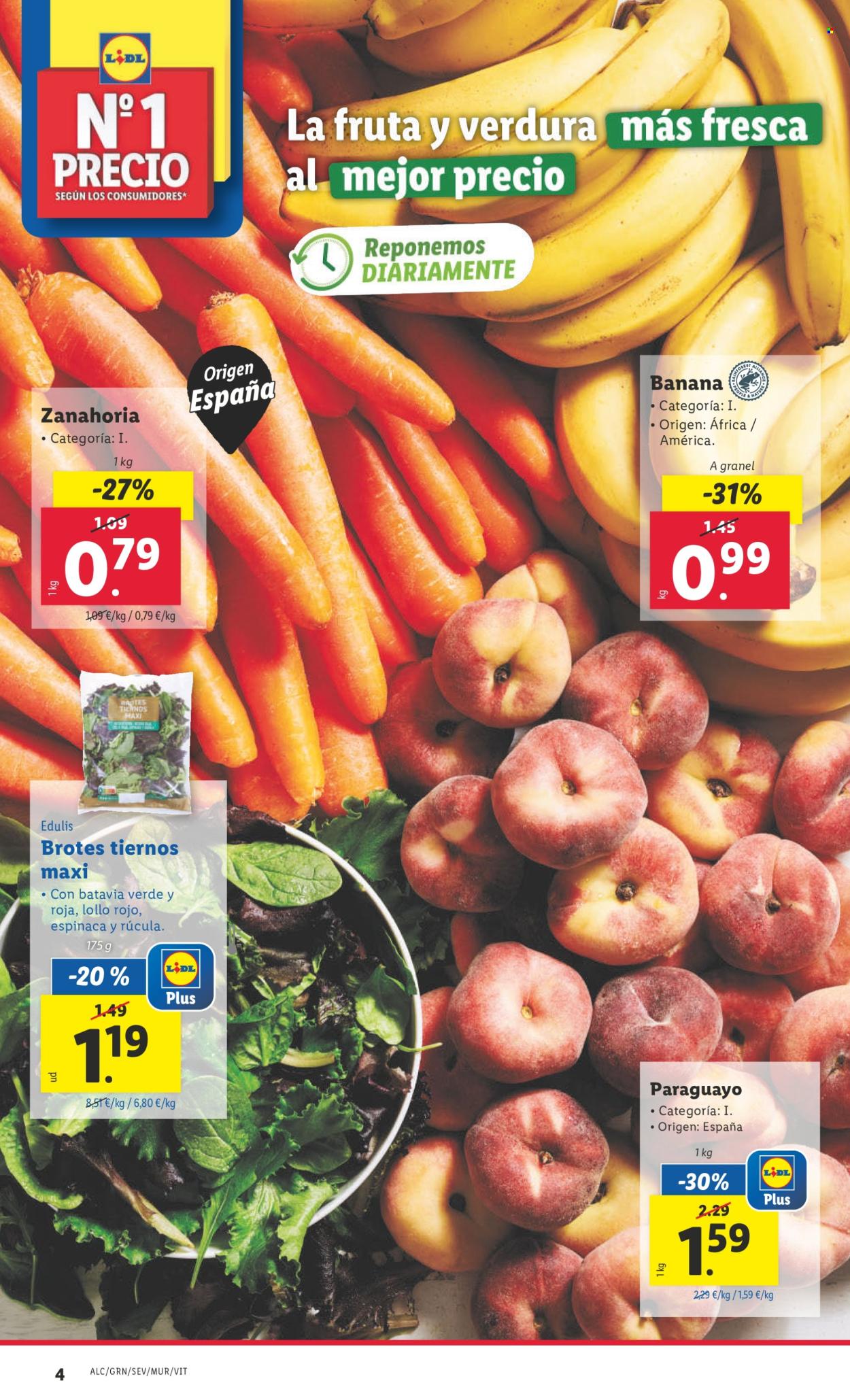 Folleto Lidl - 15/07/24 - 21/07/24. Página 4